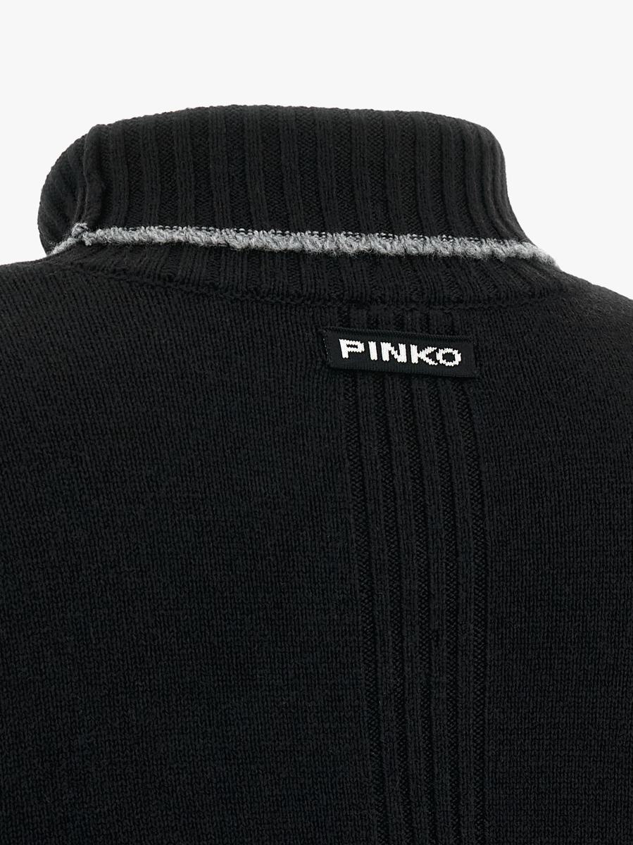 Pinko 'Falkland' Turtleneck Sweater