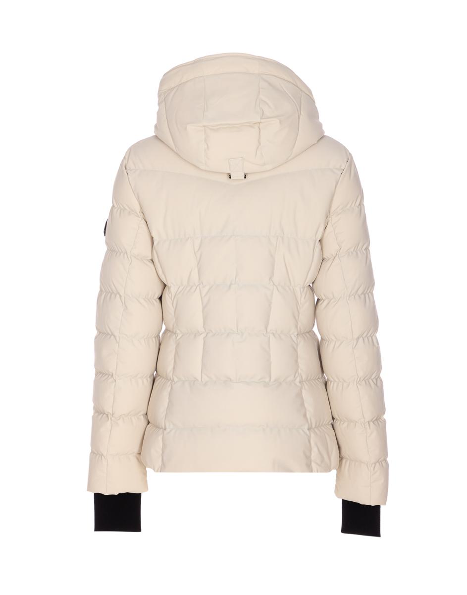 Moose Knuckles Coats