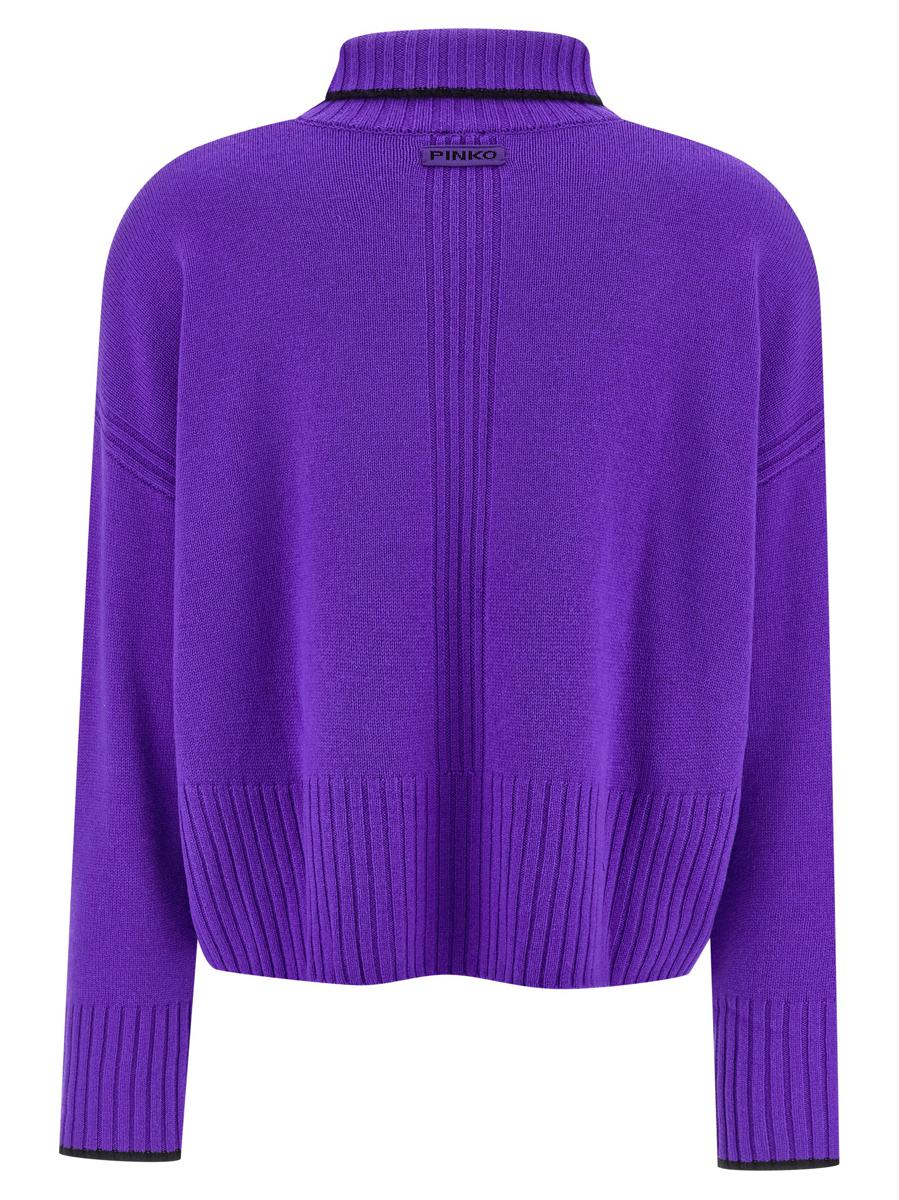 Pinko 'Falkland' Turtleneck Sweater