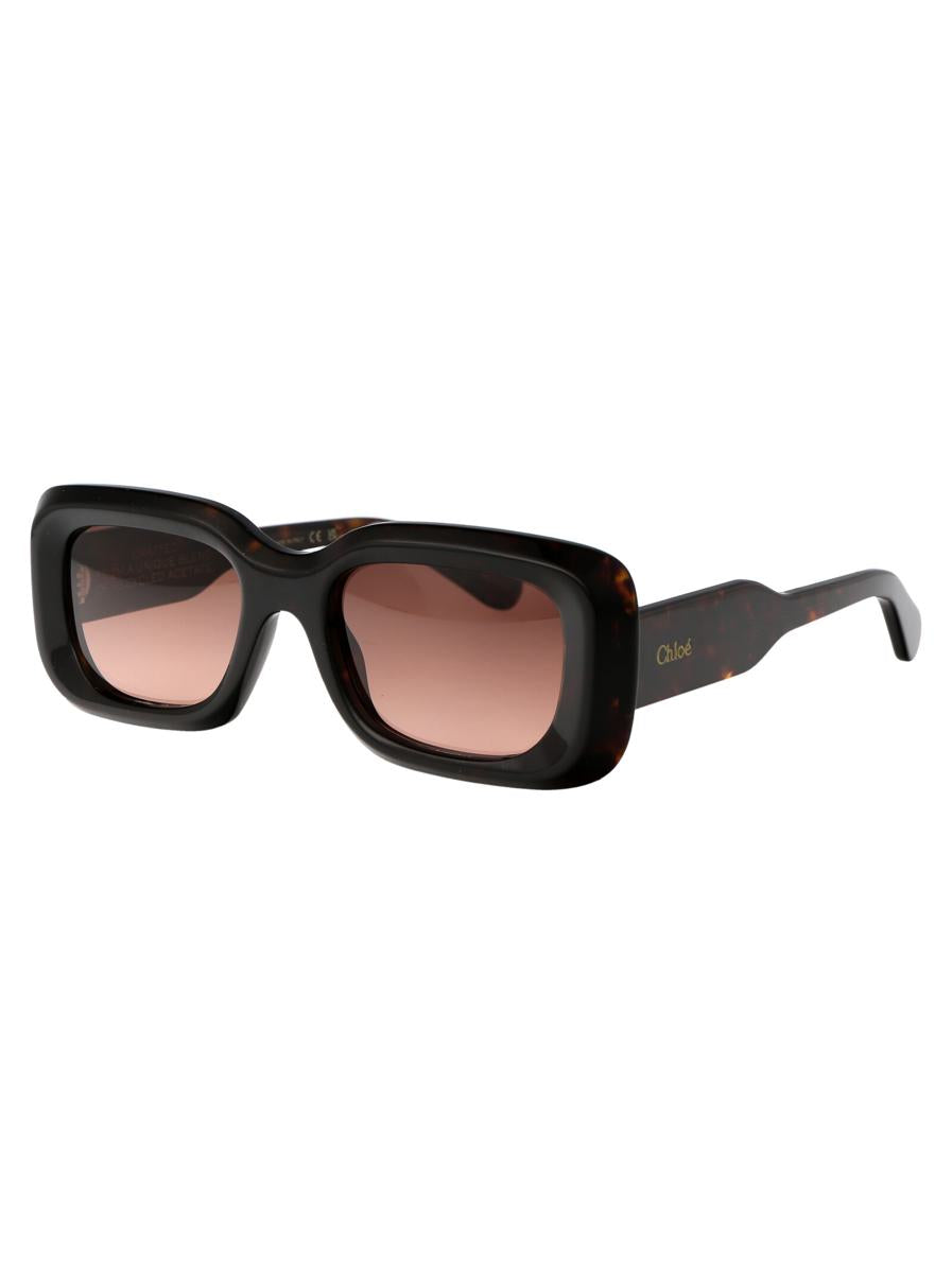 Chloé Sunglasses