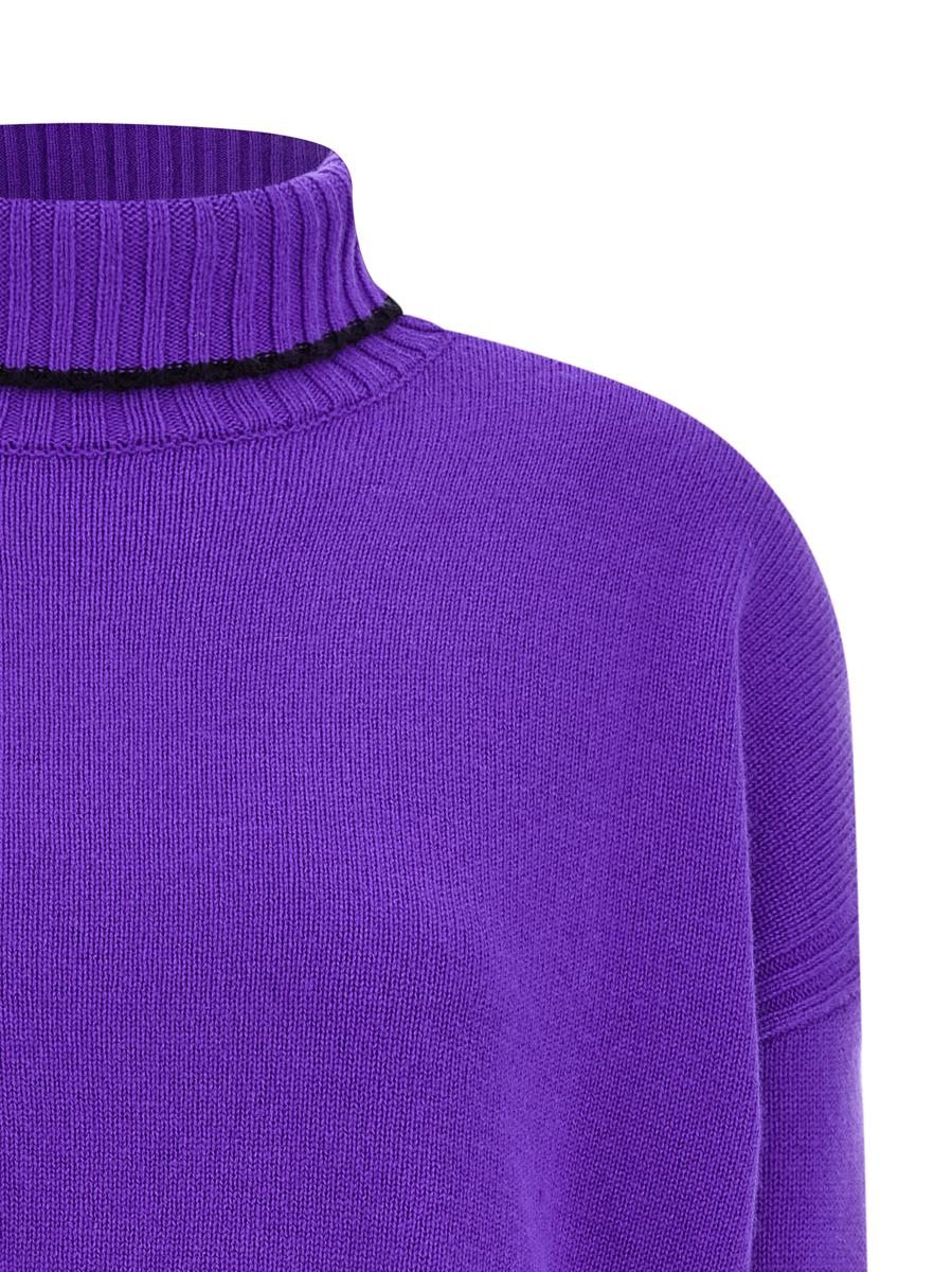 Pinko 'Falkland' Turtleneck Sweater