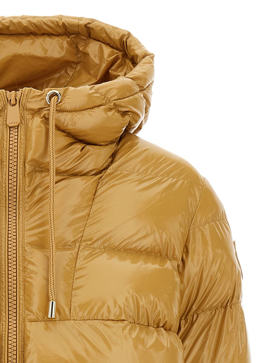 Pinko 'Eleodoro' Down Jacket
