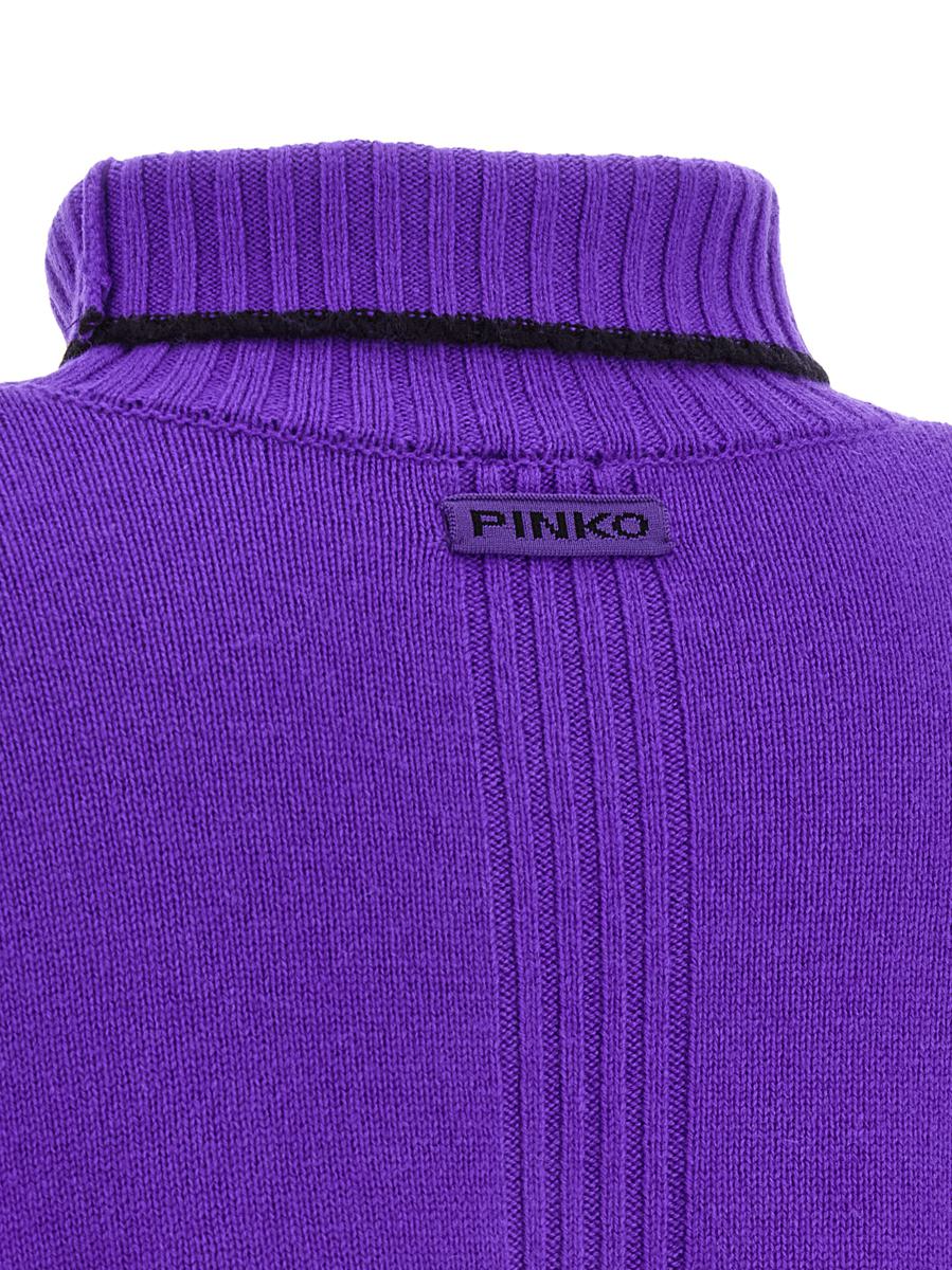 Pinko 'Falkland' Turtleneck Sweater