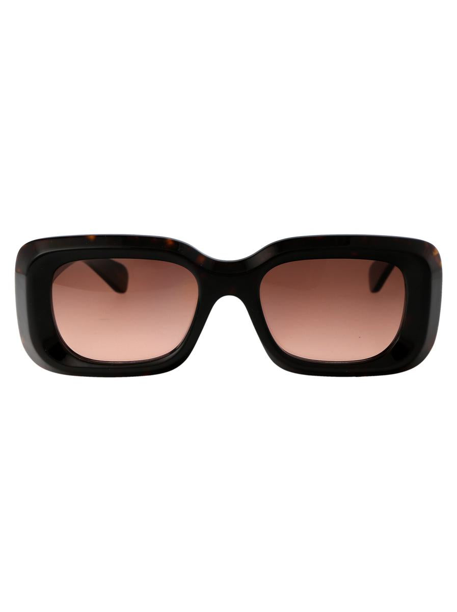 Chloé Sunglasses