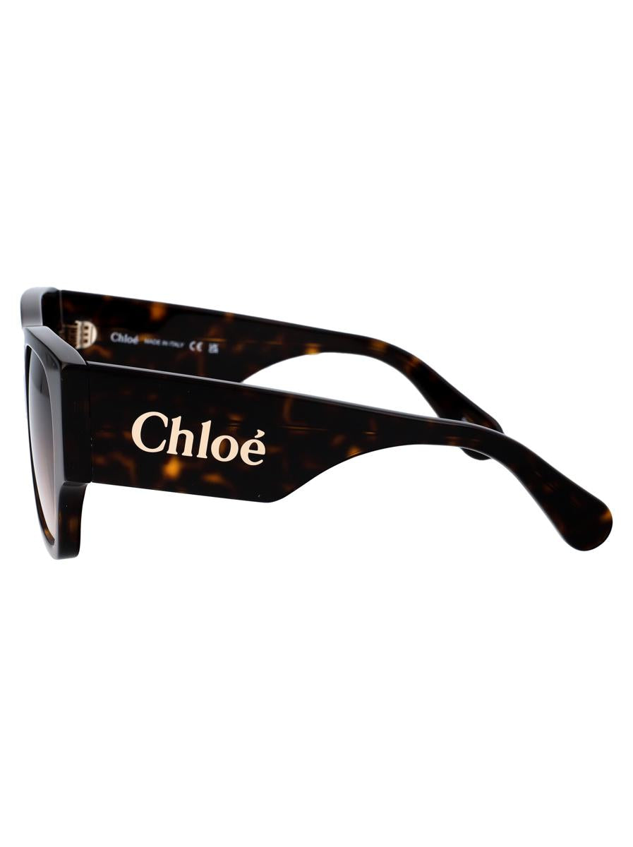 Chloé Sunglasses
