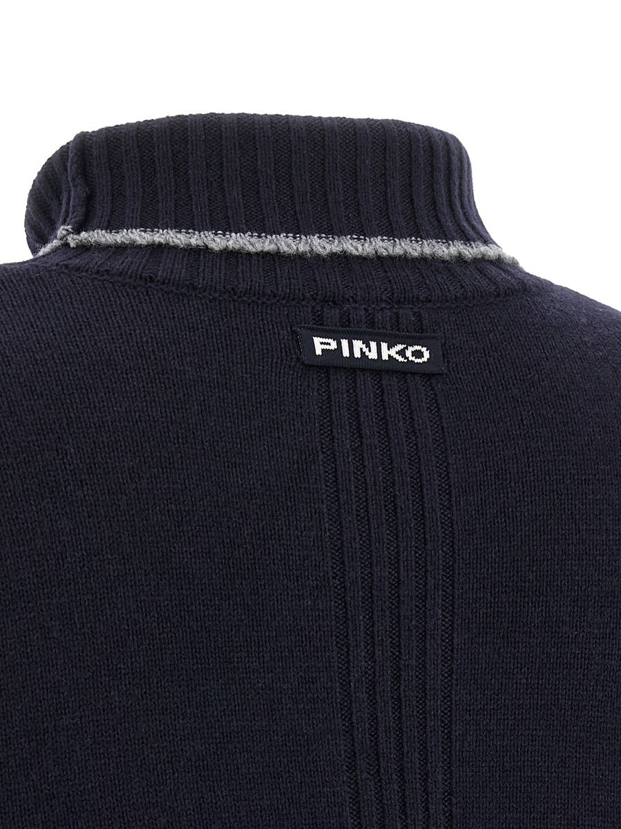 Pinko 'Falkland' Turtleneck Sweater